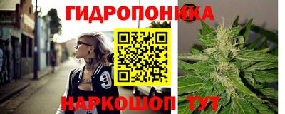 ПСИЛОЦИБИНОВЫЕ ГРИБЫ Кандалакша