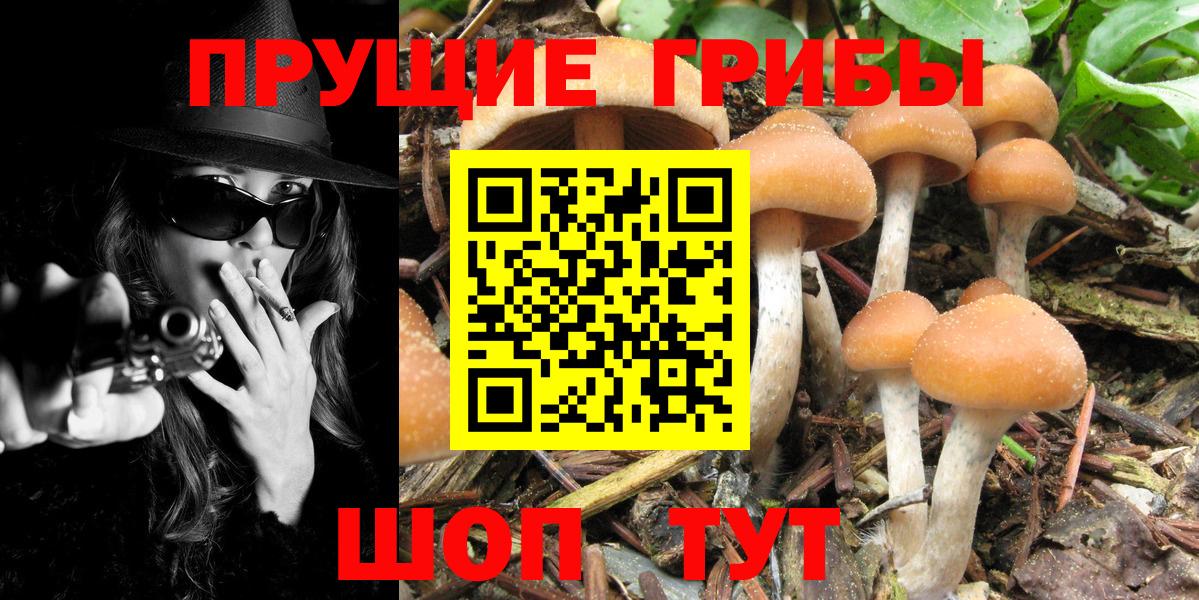 Псилоцибиновые грибы мухоморы Людиново